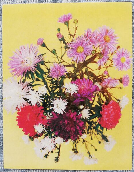 Flowers 1985 Asters 7x9 cm MINI USSR postcard  