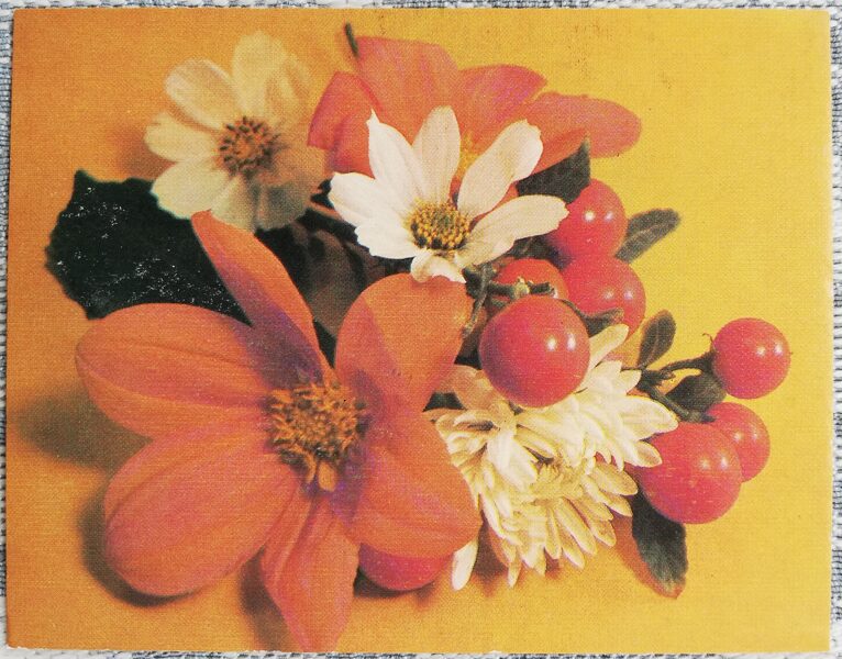 Flowers 1985 MINI 9x7 cm USSR postcard  