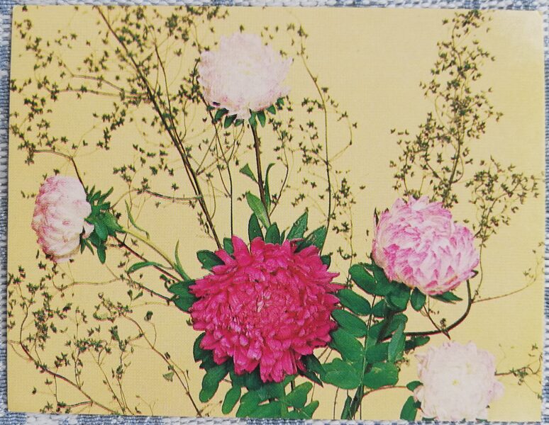 Flowers 1983 Asters 9x7 cm MINI USSR postcard  