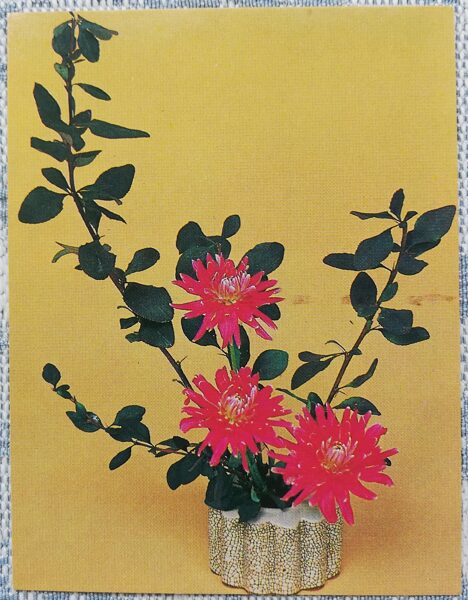 Flowers 1983 Dahlias 7x9 cm MINI USSR postcard  