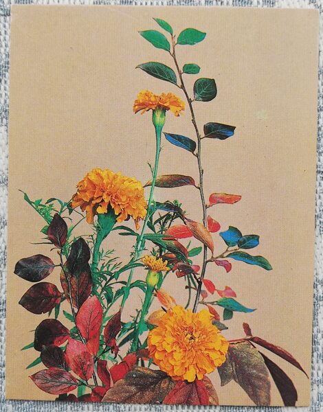 Flowers 1983 Calendula 7x9 cm MINI USSR postcard  