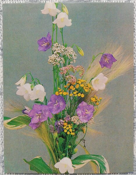 Flowers 1983 MINI 7x9 cm USSR postcard  