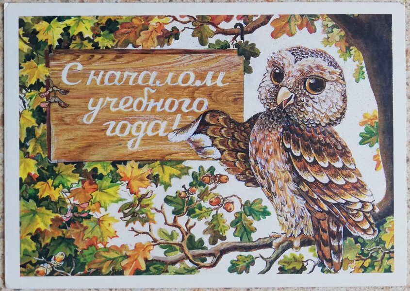 Ar mācību gada sākumu! 1985 Gudra pūce 15x10,5 cm PSRS pastkarte  