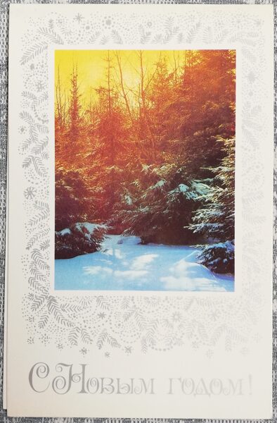 New Year's card 1987 Winter forest 9.5x15 cm USSR postcard  