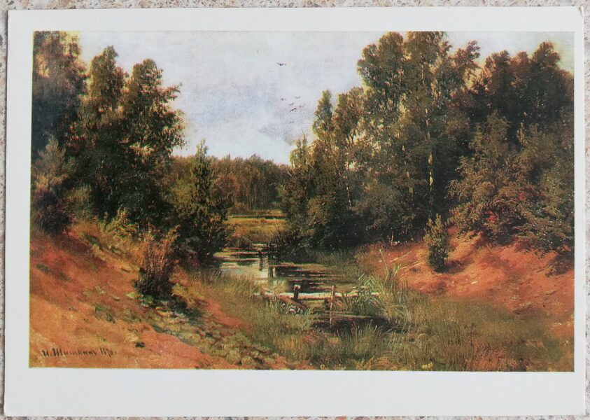 Ivans Šiškins 1979 Meža strauts 15x10,5 cm PSRS pastkarte  