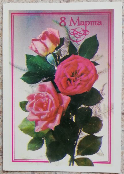 March 8 1982 Pink roses 10.5x15 cm USSR postcard  
