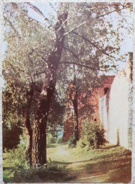 Powerful walls of the Island Castle 1966 Trakai 10.5x14.5 cm Lithuanian postcard  