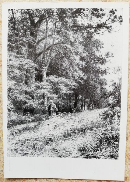 Ivans Šiškins 1961 Uz meža robežas. Oforts. 10,5x15 cm PSRS mākslas pastkarte  