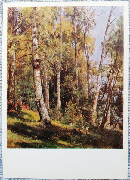 Ivans Šiškins 1982 Bērzu birzs 10,5x15 cm PSRS mākslas pastkarte  