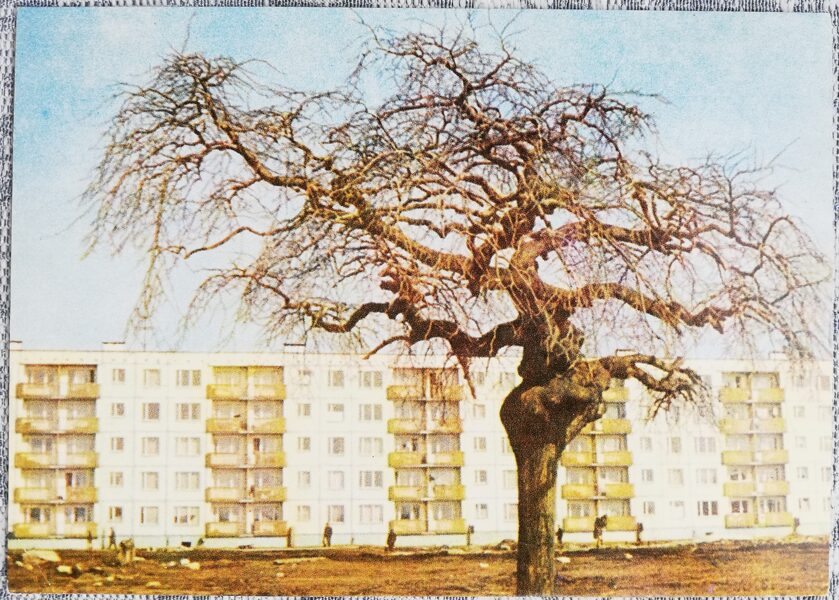 Rīga 1968 Dzīvojamās ēkas Ķengaragā 14x10,5 cm Latvijas pastkarte JT00769  