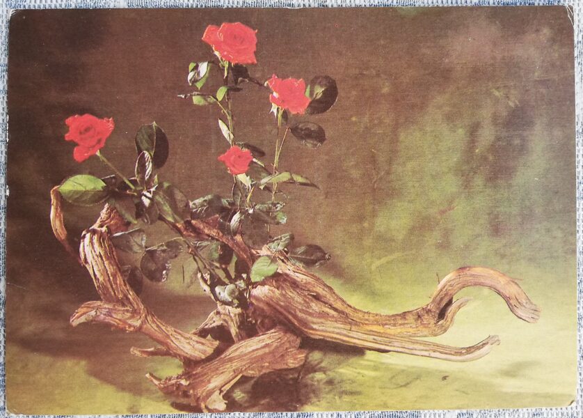 1981 Roses and wooden decor 15x10.5 cm flowers postcard USSR  