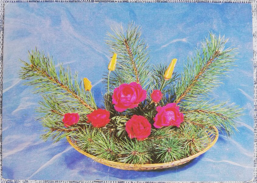 1981 Roses and pine branches 15x10.5 cm flowers USSR postcard  