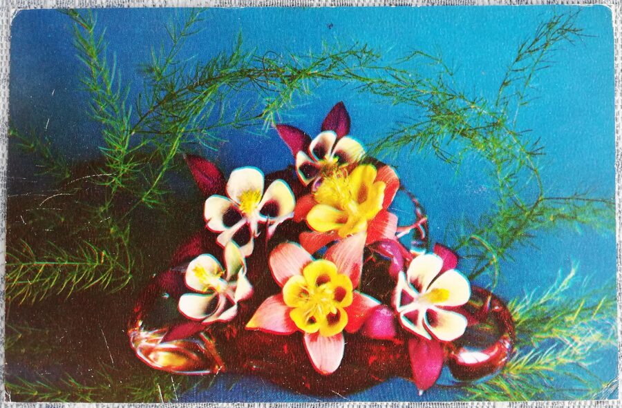 1976 flowers 14x9 cm USSR postcard  