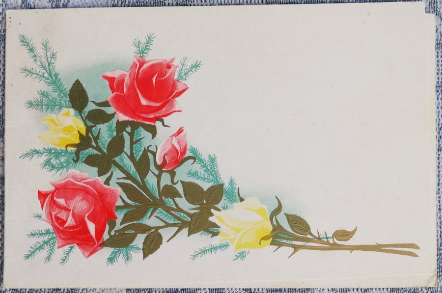 1982 Roses 14x9 cm flowers postcard USSR 