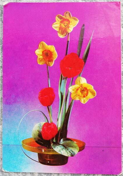 1977 Daffodils and tulips 10.5x15 cm flowers Ukrainian postcard  