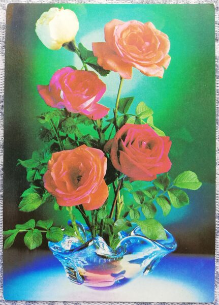 Roses 1984 Flowers 10.5x15 cm USSR postcard  