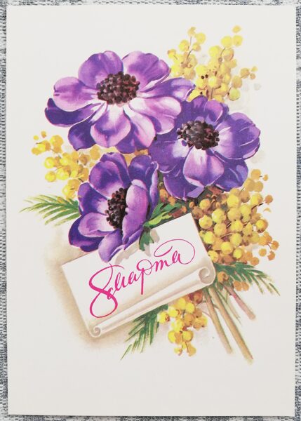 March 8 1981 Mimosa 10.5x15 cm USSR postcard  