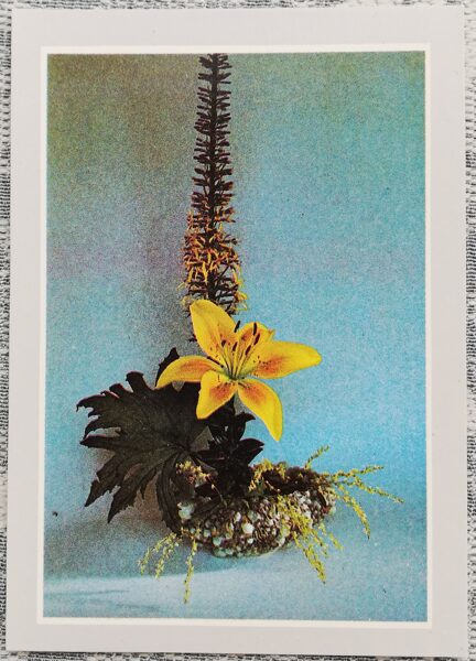Lilies 1991 flowers 7.5x10.5 cm Latvian postcard  