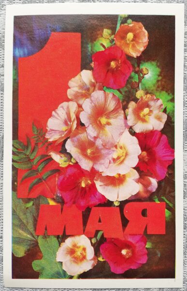 1. maijs 1973 Ziedi 9x14 cm PSRS apsveikuma kartīte  