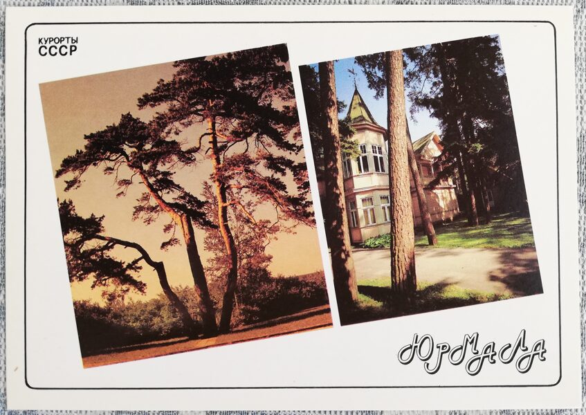 Pumpuri Raiņa priedes Maiori 1989 Jūrmala Latvija 15x10,5 cm pastkarte PSRS kūrorti  