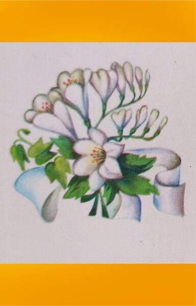 White flowers 1979 Mini greeting card 11.5x5.5 cm  