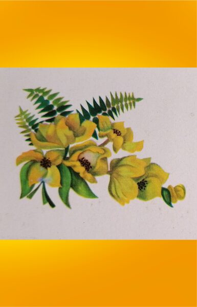 Orchids and ferns 1979 Mini greeting card 11.5x5.5 cm  
