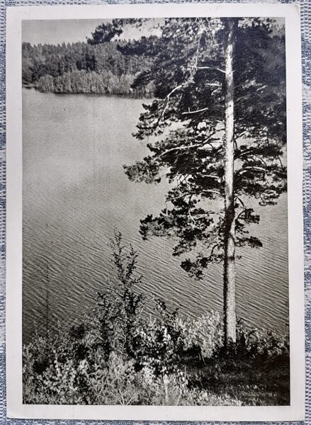 Lake Baltis - quiet, thoughtful 1963 Zarasai 10.5 x 15 cm Lithuanian postcard  
