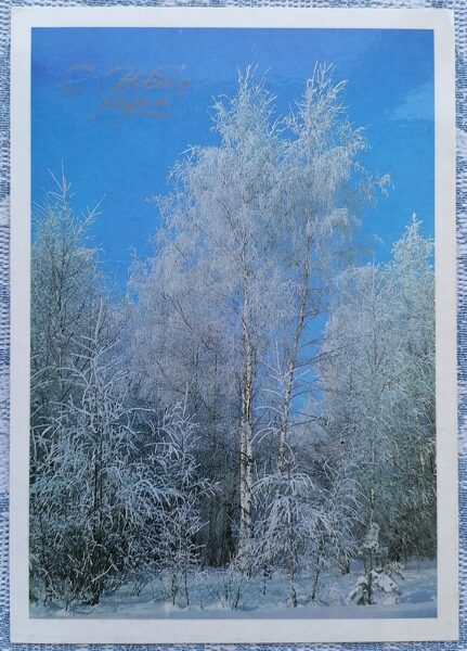 Winter forest 1986 New Year card 10.5 x 15 cm  
