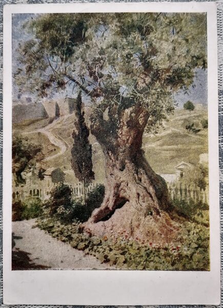 Olive in the Garden of Gethsemane 1958 Vasily Polenov 10.5x15 cm art postcard USSR  