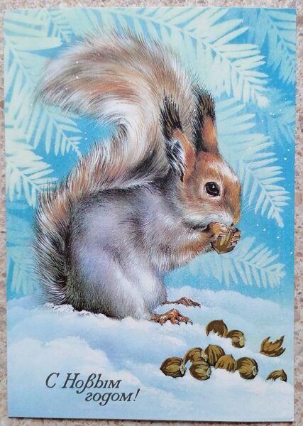 A squirrel gnaws hazelnuts 1985 New Year card 10.5 x 15 cm USSR   