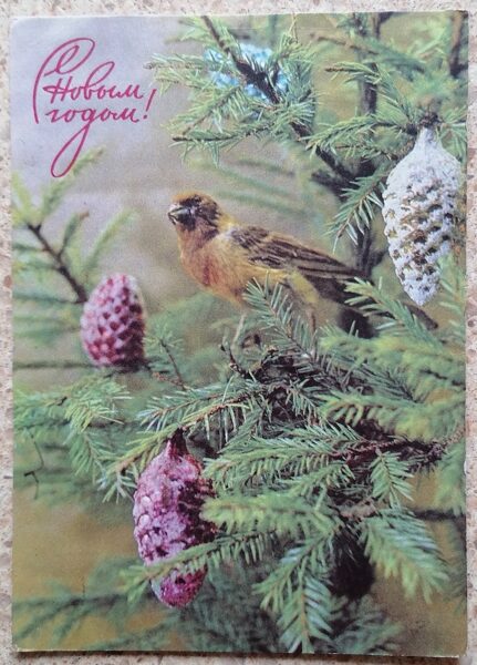 Bird on the Christmas tree 1971 New Year card 10.5 x 15 cm USSR  