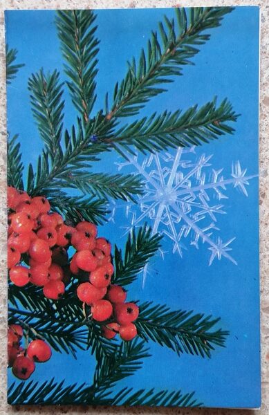 Rowan berries and spruce 1972 New Year card 9 x 14 cm USSR  
