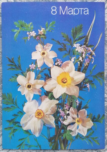 White daffodils 1988 USSR postcard March 8 10.5x15 cm  
