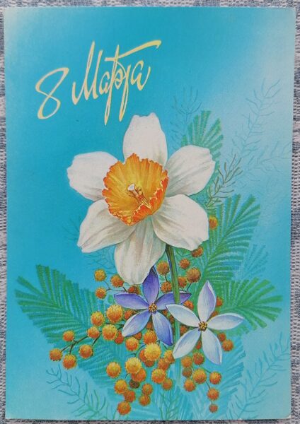Narcissus and mimosas 1987 USSR postcard March 8 10.5x15 cm  