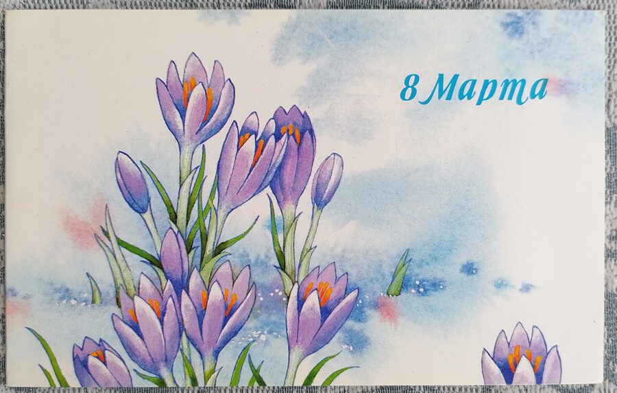 Crocuses 1986 postcard USSR March 8 15x9 cm  