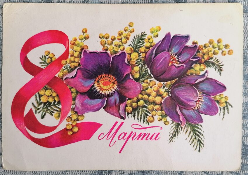 Pulsatilla vulgaris and mimosa 1979 postcard USSR March 8 15x10.5 cm     