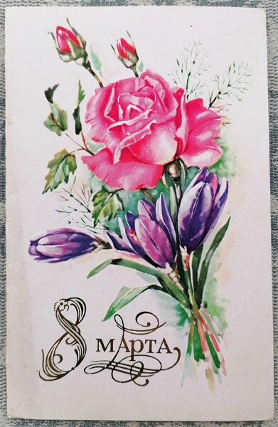 Pink rose 1985 postcard USSR March 8 9.5x15 cm  