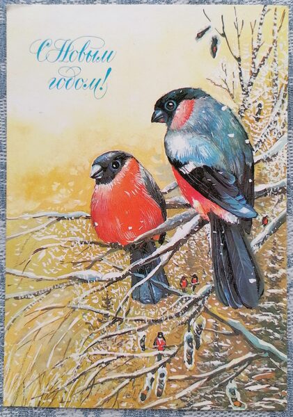Bullfinches on a branch 1986 USSR New Year card 10.5x15 cm  
