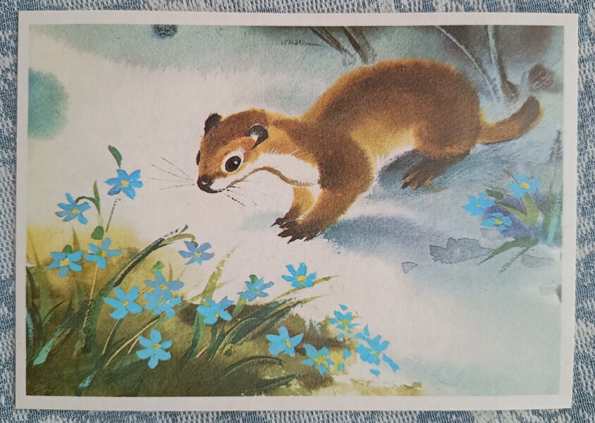 Cauna 1986 Bērnu pastkarte PSRS 15x10,5 cm   