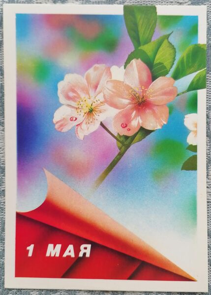 Apple tree flowers 1989 Happy May 1st 10.5x15 cm USSR greeting card  