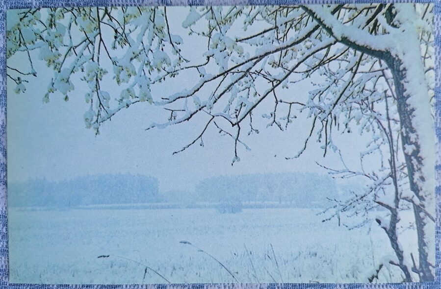 Winter landscape 1987 Latvia 14x9 cm view postcard  