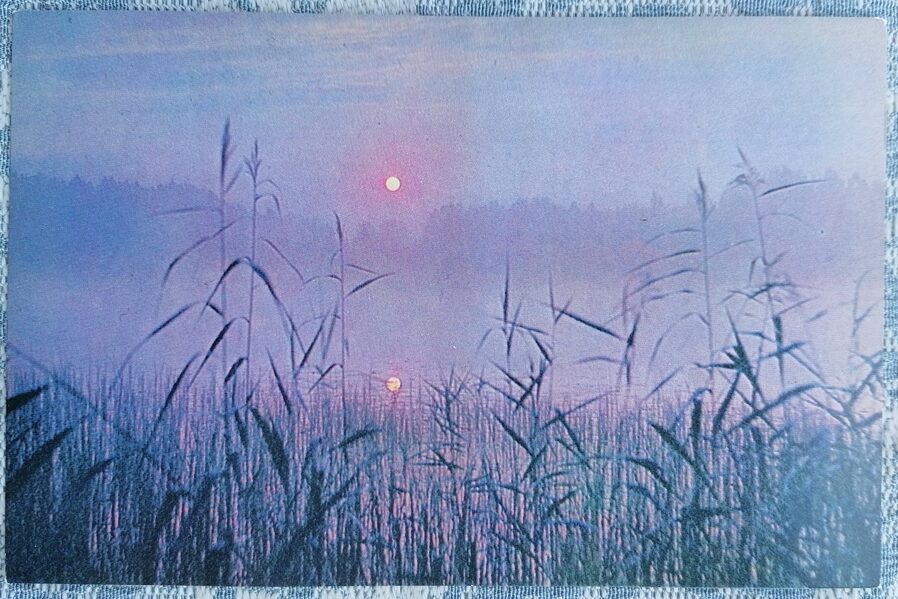 Summer morning 1987 Latvia 14x9 cm view postcard  