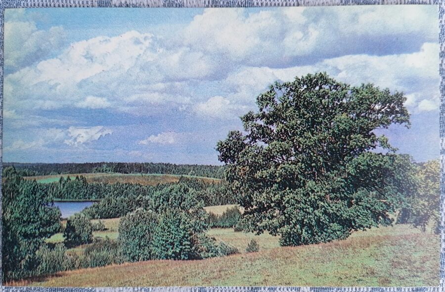 Landscape by Lake Svetes 1987 Latvia 14x9 cm view postcard  