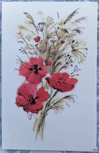 Sarkanās magones 1985 Latvijas apsveikuma kartīte 9x14 cm  