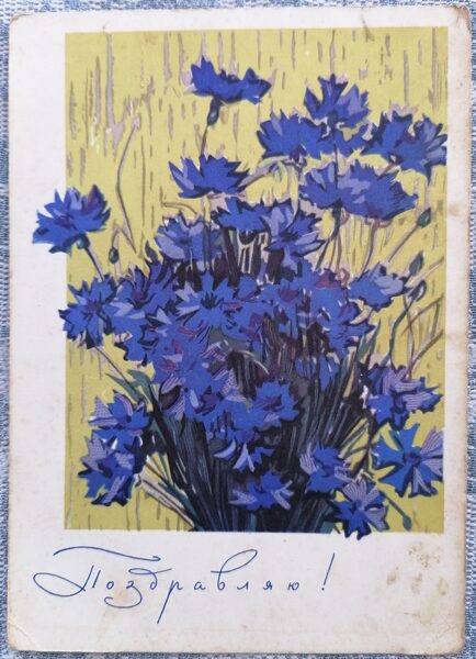 Rudzupuķes 1966 PSRS apsveikuma kartīte 10,5x15 cm  