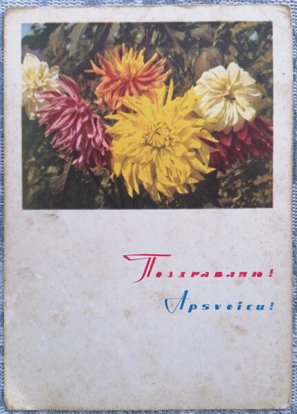 Dālijas 1967 PSRS apsveikuma kartīte 10,5x15 cm  