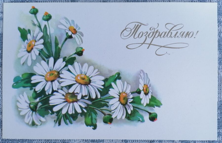 Margrietiņas 1978 PSRS apsveikuma kartīte 14x9 cm   