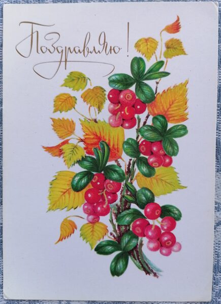 Brūklenes un rudens lapas 1982 PSRS apsveikuma kartīte 10,5x15 cm  