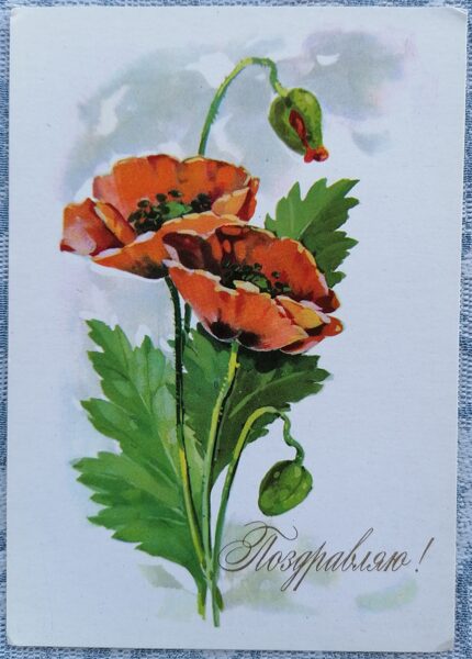 Sarkanās magones 1974 PSRS apsveikuma kartīte 10,5x15 cm  