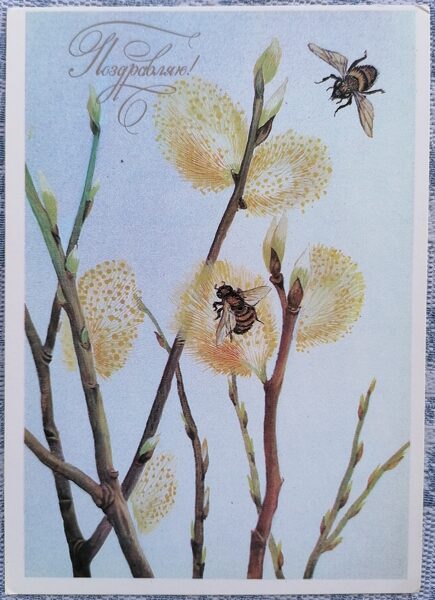 Bites uz vītola 1985 PSRS apsveikuma kartīte 10,5x15 cm  